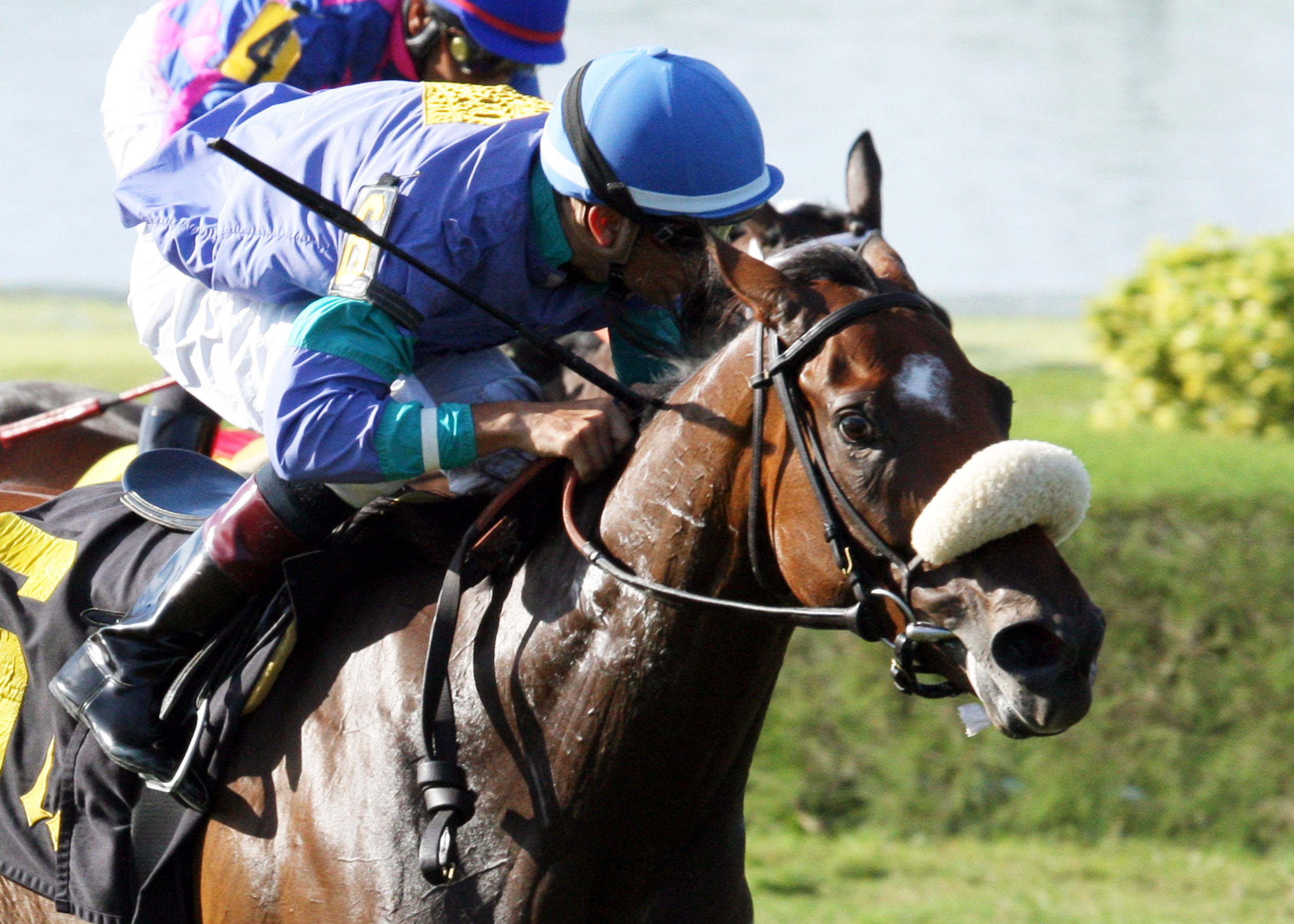 Angelica Zapata wins the Capano Handicap