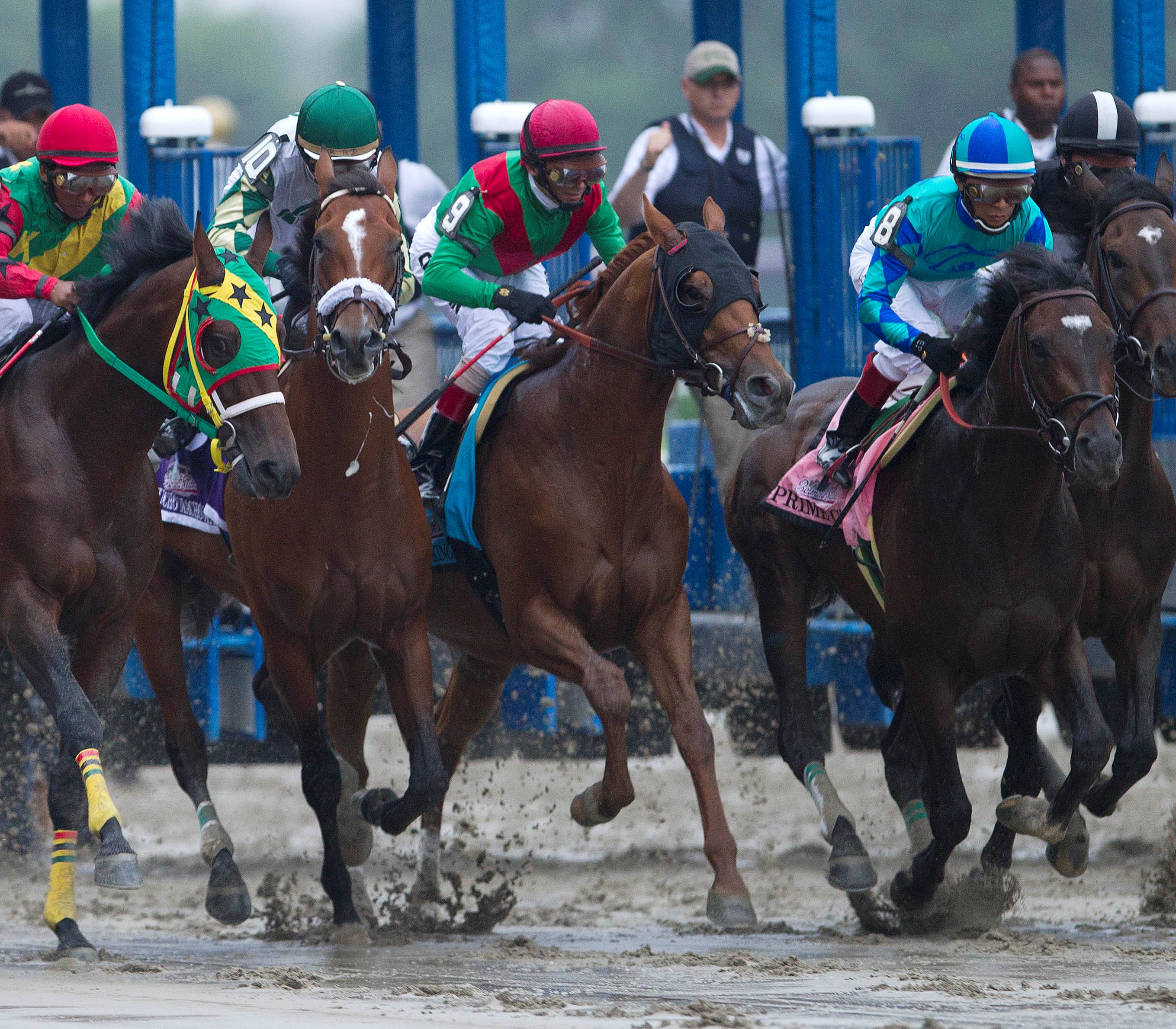 Animal Kingdom breaks from gate in Belmont