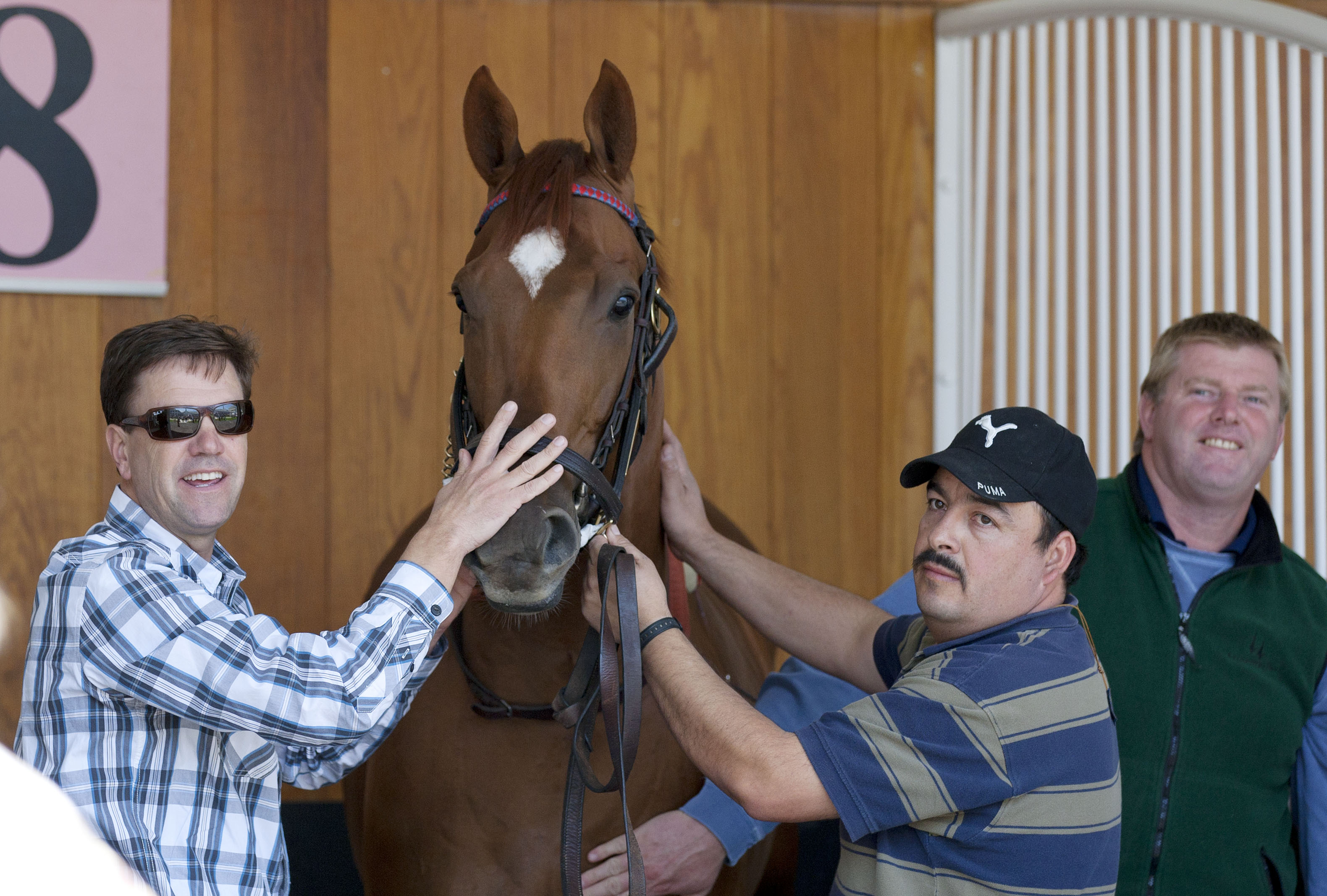 Preakness: Animal Kingdom likely to be a late arrival at Pimlico