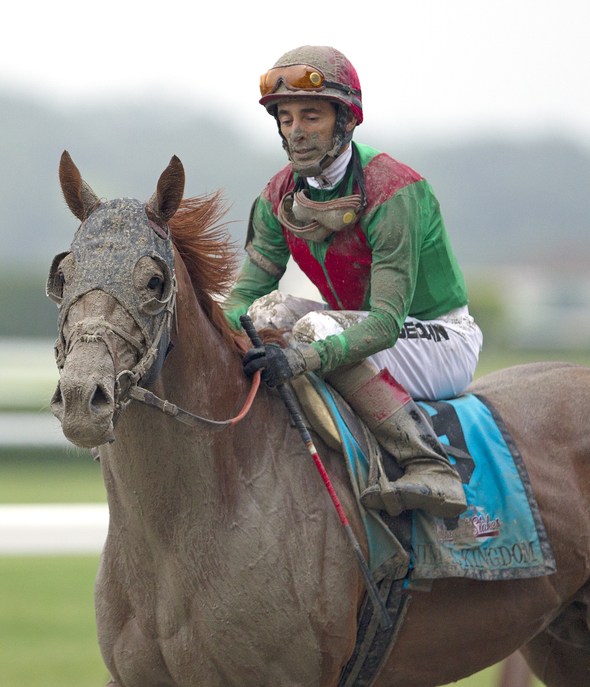 Animal Kingdom/John Velazquez