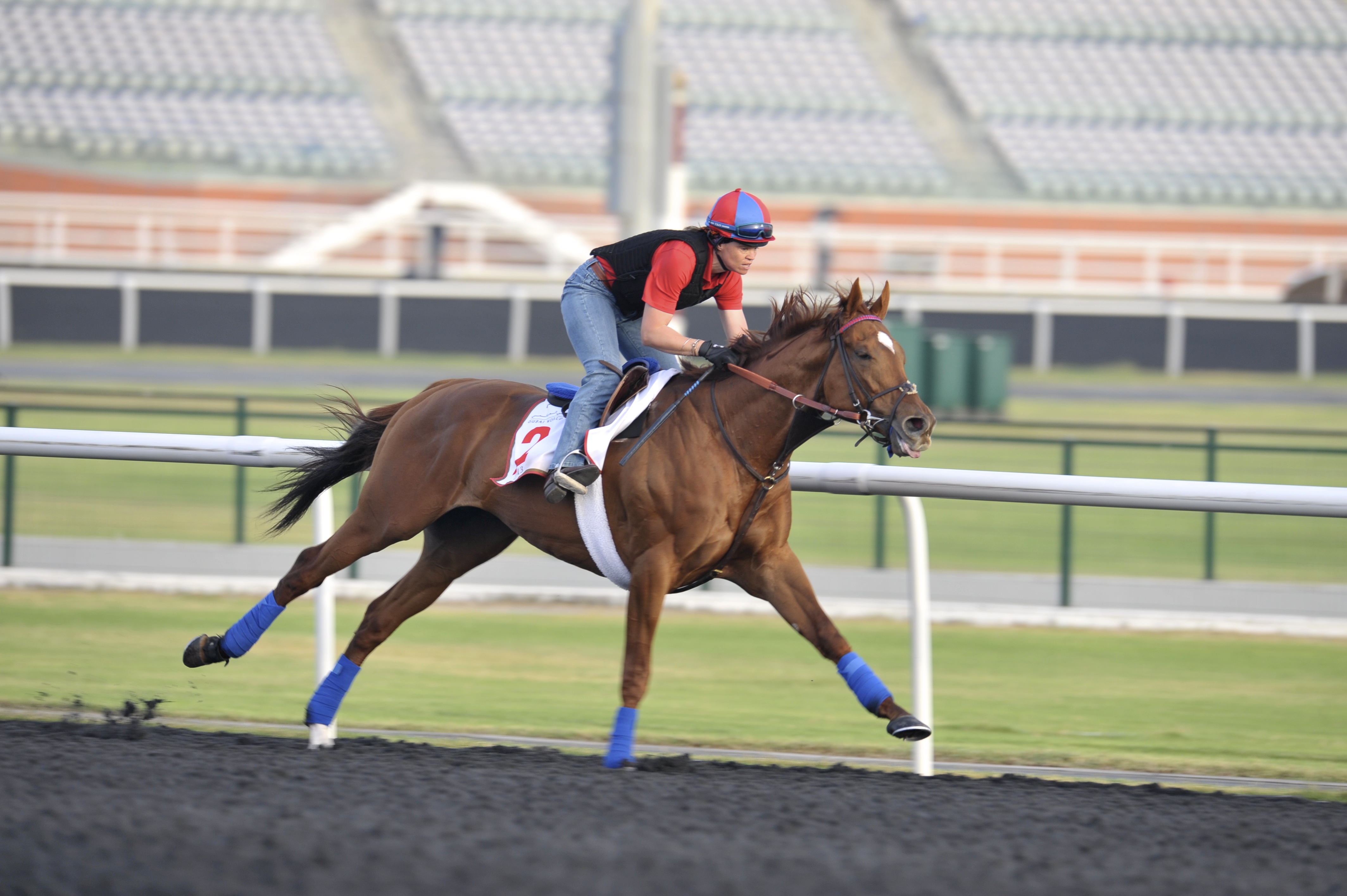 Animal Kingdom, Dubai training 3-26-13
