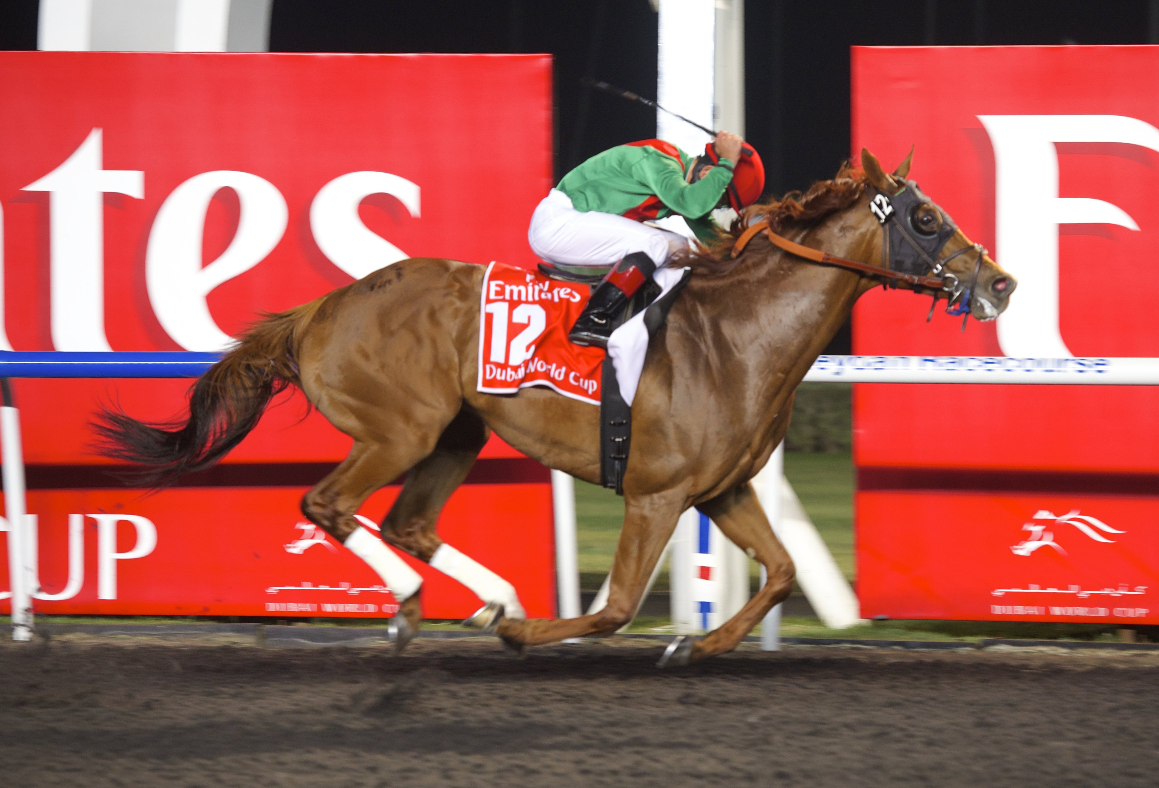 Animal Kingdom, Dubai World Cup
