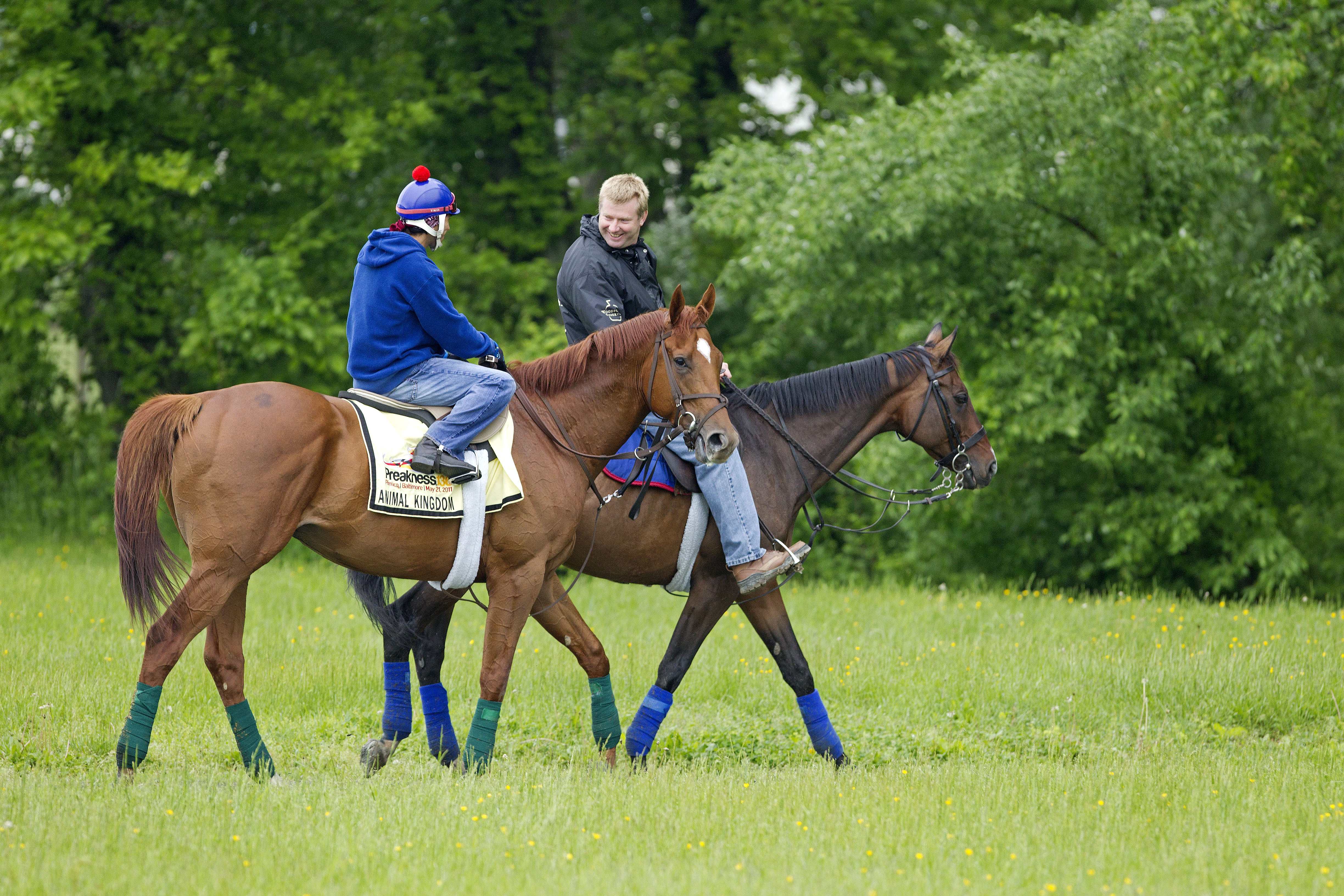 Preakness draw: Kentucky Derby winner Animal Kingdom in post 11