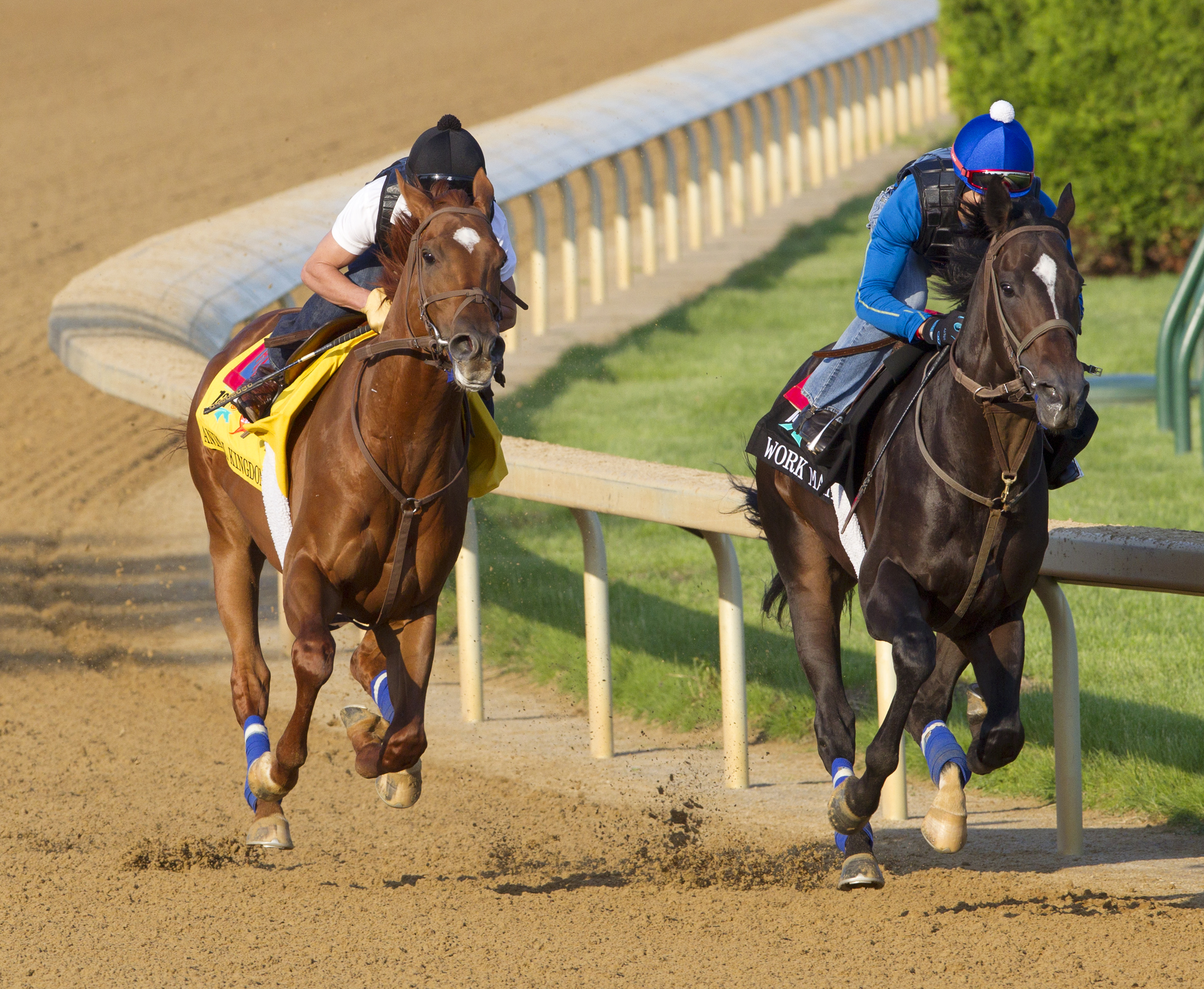 Animal Kingdom (left), Meistersinger (right), April 30
