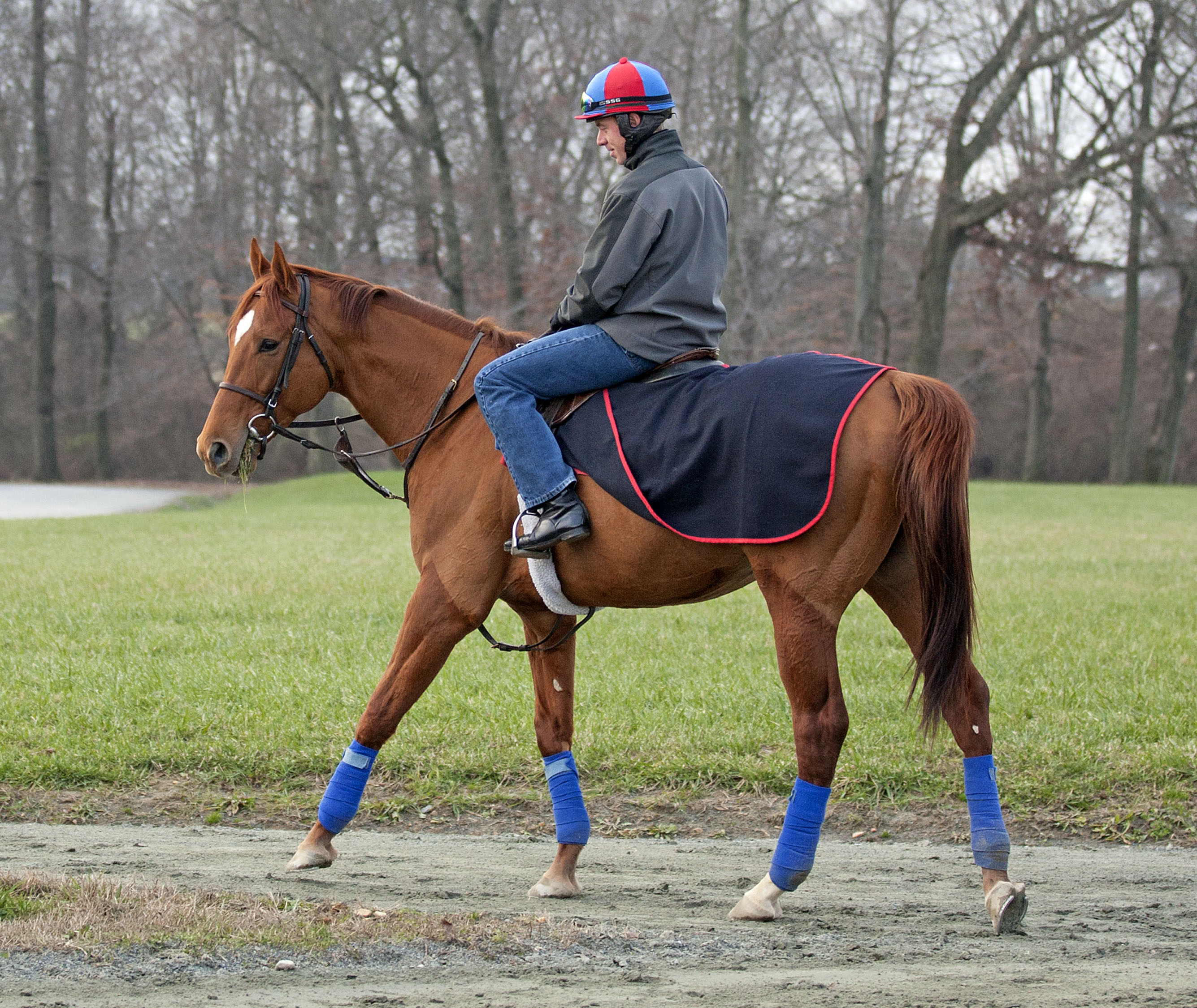Animal Kingdom Fair Hill Training Center