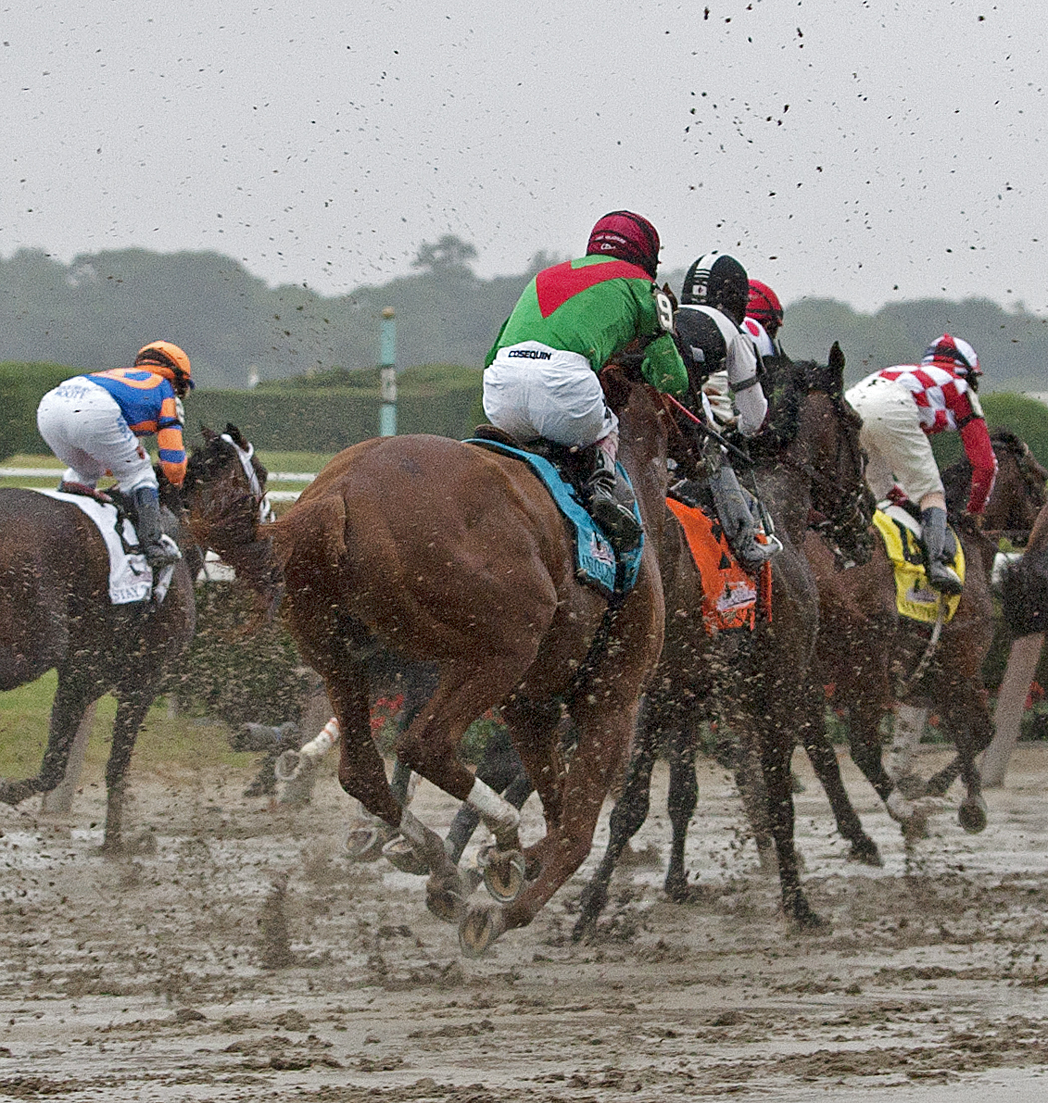 Belmont Stakes: Rough start hurts Animal Kingdom's chances