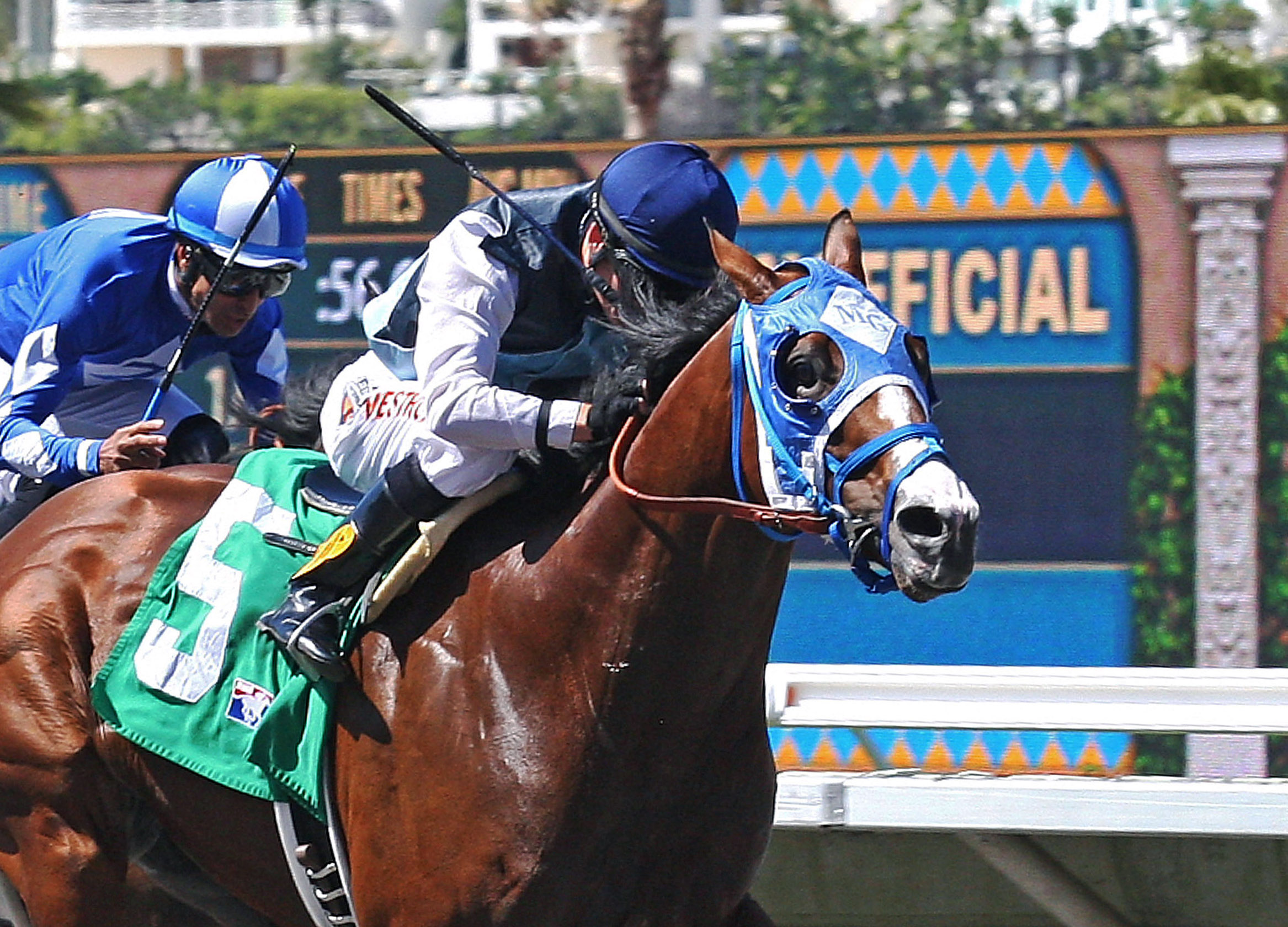 Ankeny Hill wins the 2014 Pirate's Bounty