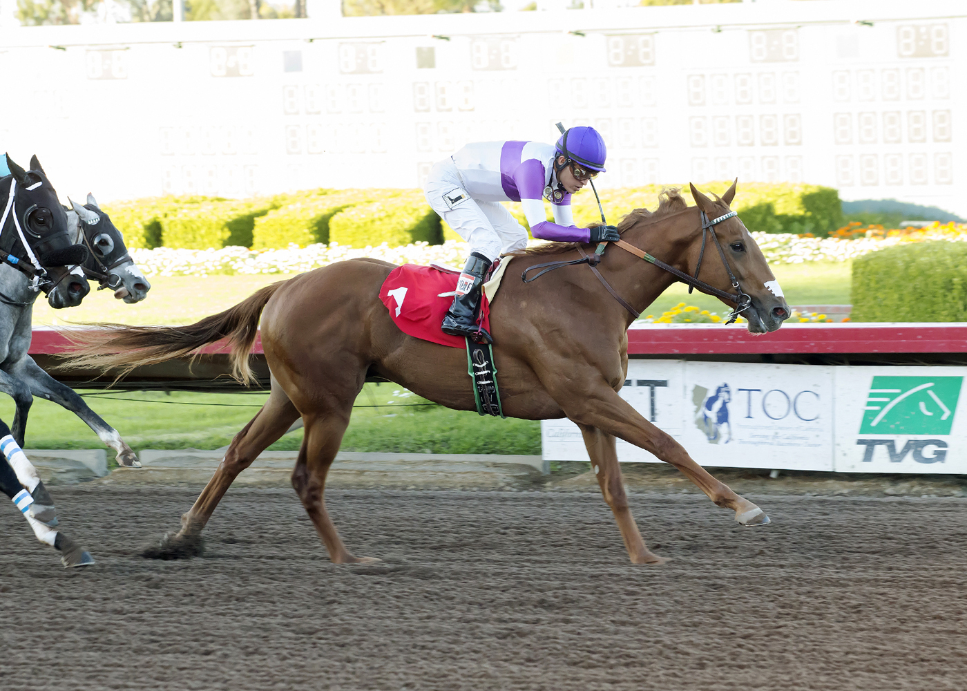 Ann Arbor Eddie wins the King Glorious Stakes