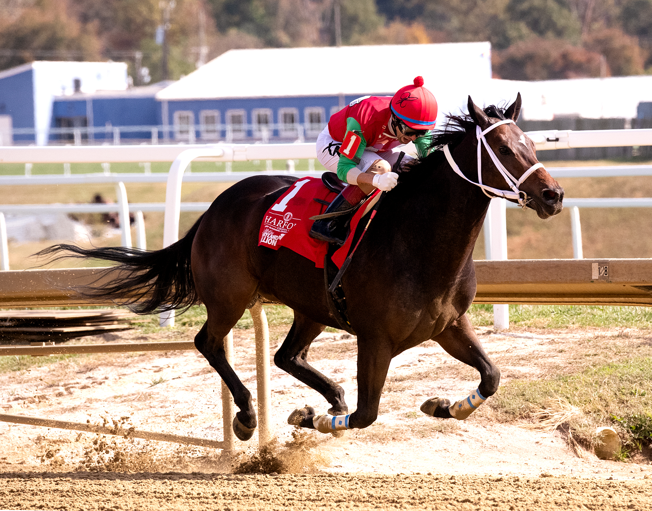 Anna's Bandit/Maryland Million Distaff