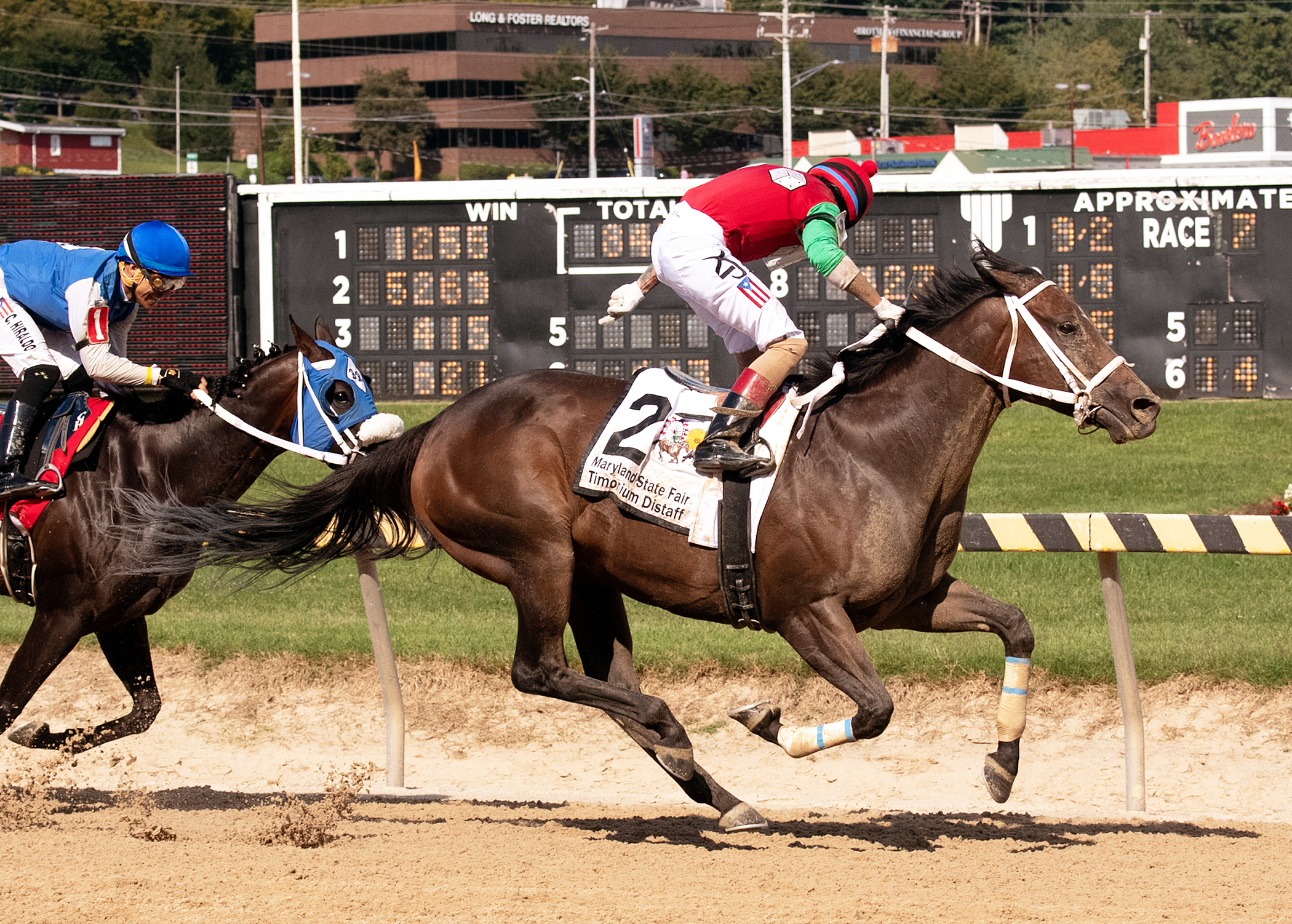 Anna's Bandit wins the 2019 Timonium Distaff