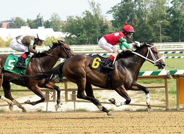 Anna's Bandit wins an Aug. 16 allowance at Laurel Park