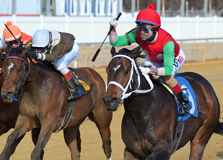 Anna's Bandit wins the 2019 Politely Stakes at Laurel Park