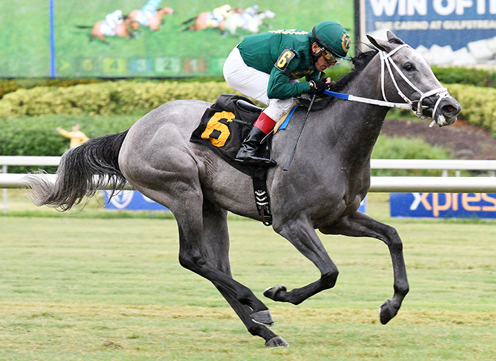Anabella Queen wins a Sept. 22 2017 maiden race