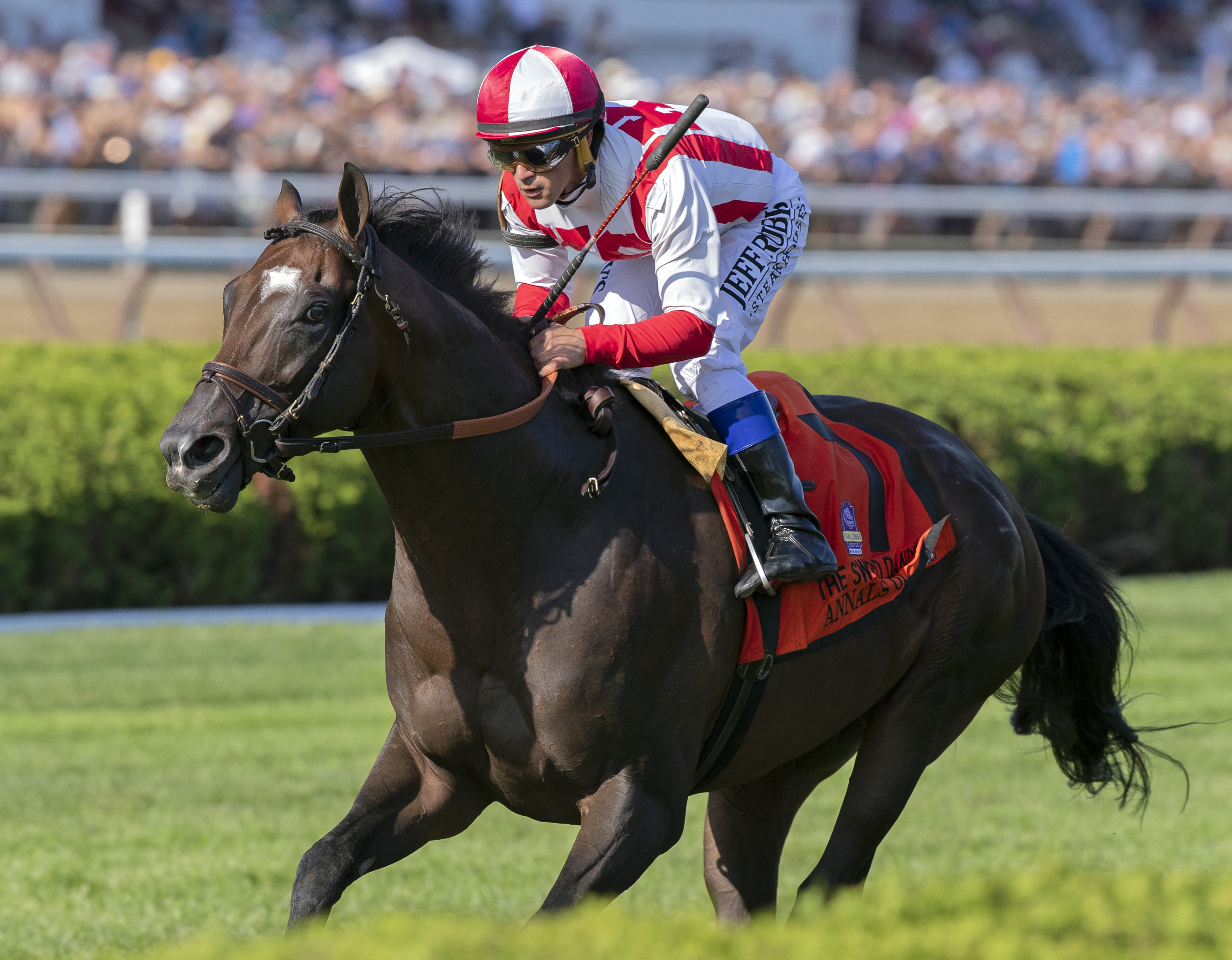 Annals of Time wins the 2019 Sword Dancer Stakes