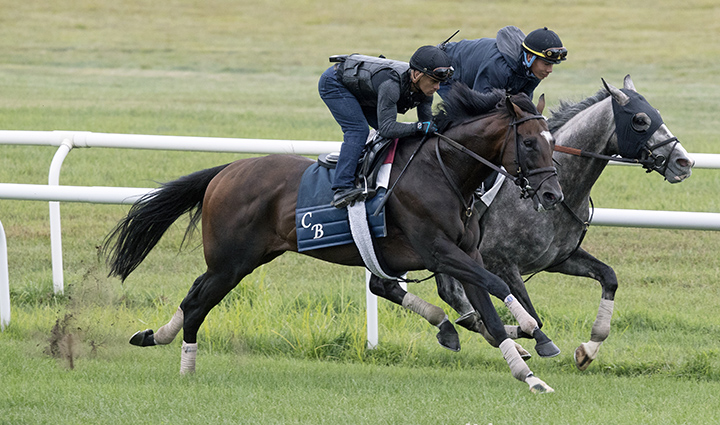 Annals of Time and Ya Primo train at Saratoga Race Course on Aug. 16