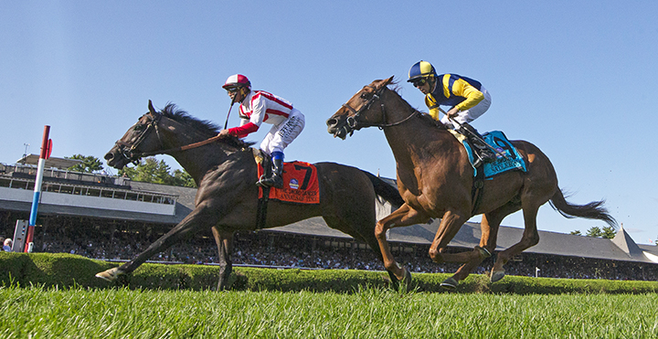 Annals of Time defeats Sadler's Joy in the 2019 Sword Dancer