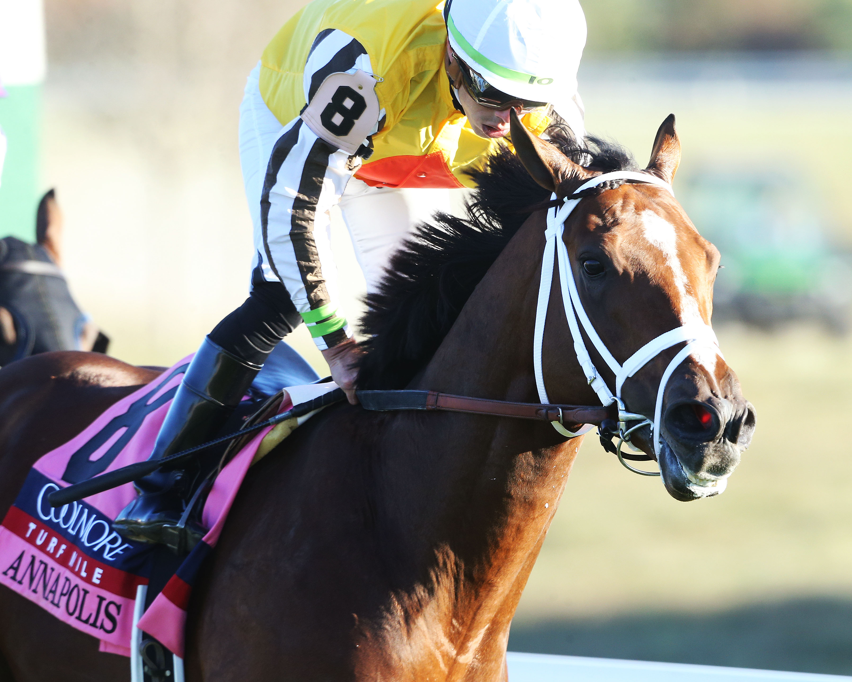 Annapolis - Turf Mile S. 2022