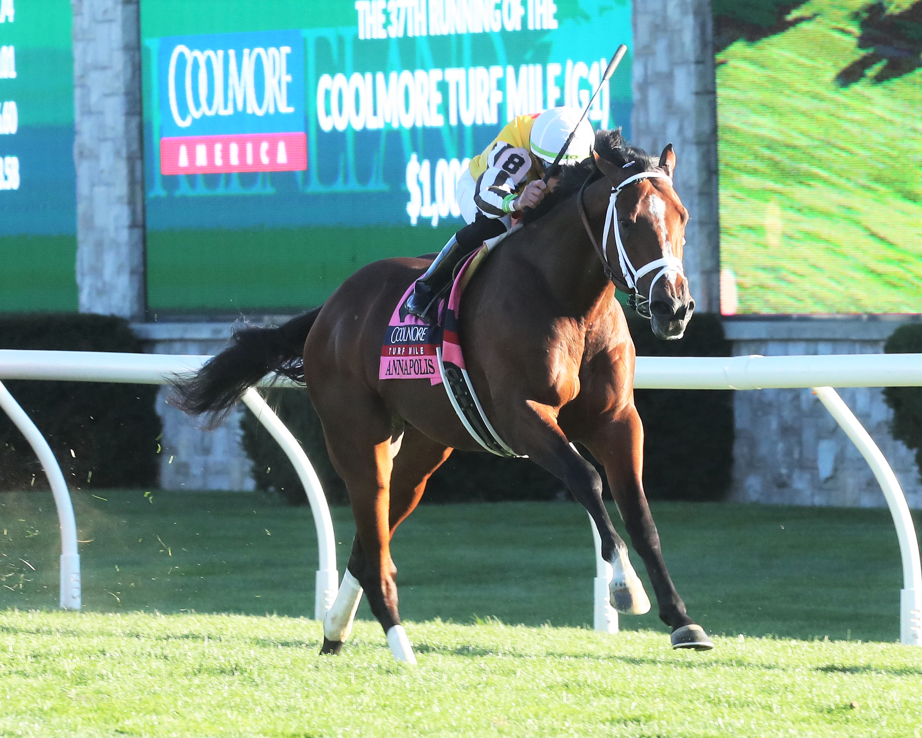 Annapolis wins Coolmore Turf Mile at Keeneland Oct 8 2022