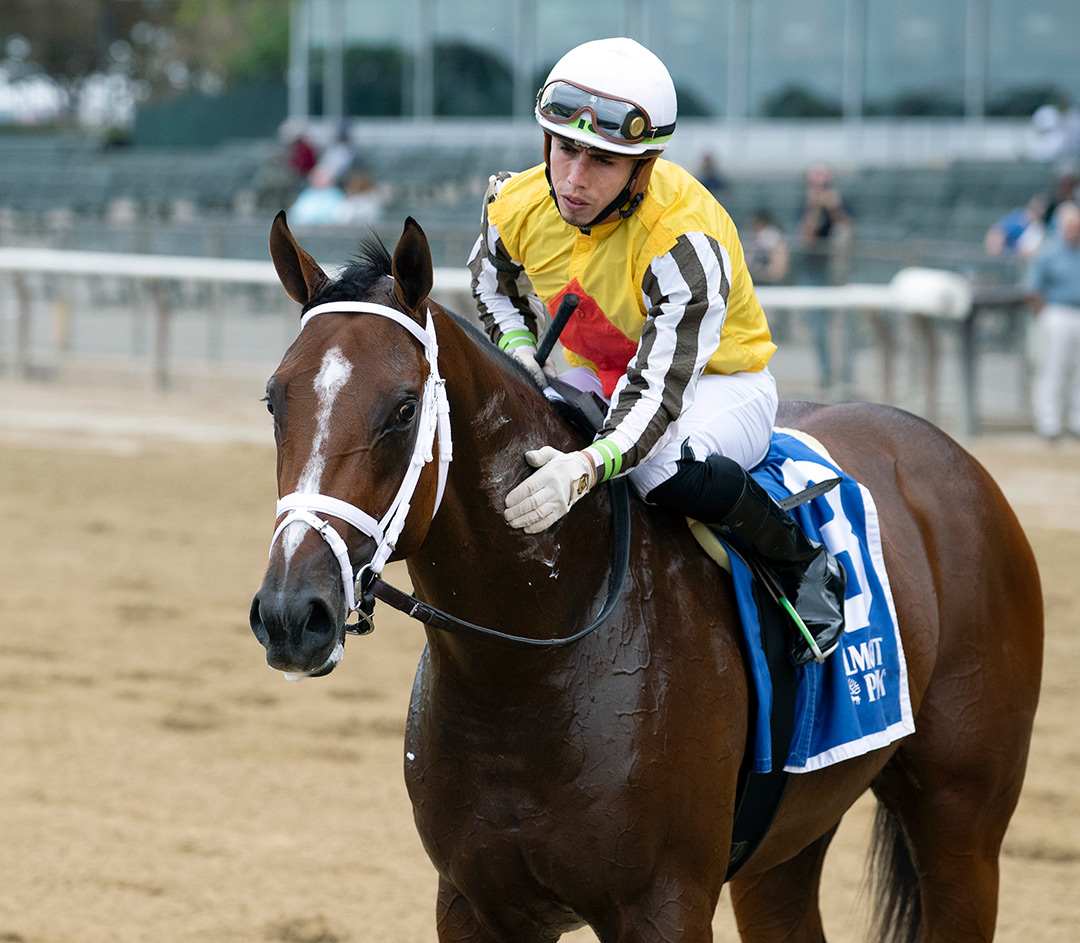 Annapolis at the Pilgrim Stakes at Belmont Park