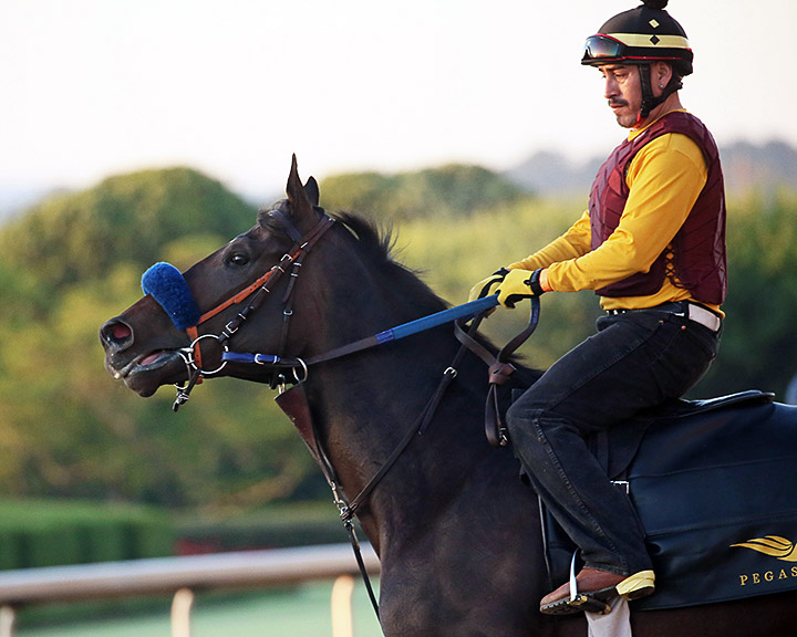 Anneau d'Or at Oaklawn Park on May 1