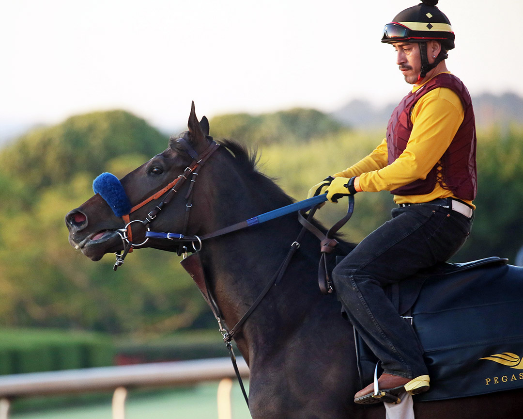 Anneau d'Or at Oaklawn Park on May 1