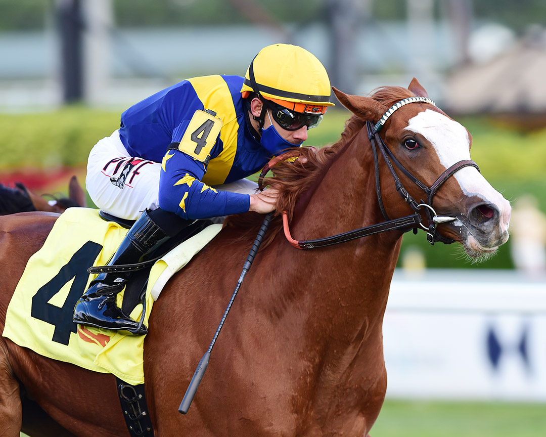 Annex wins a Jan. 16 maiden race at Gulfstream Park