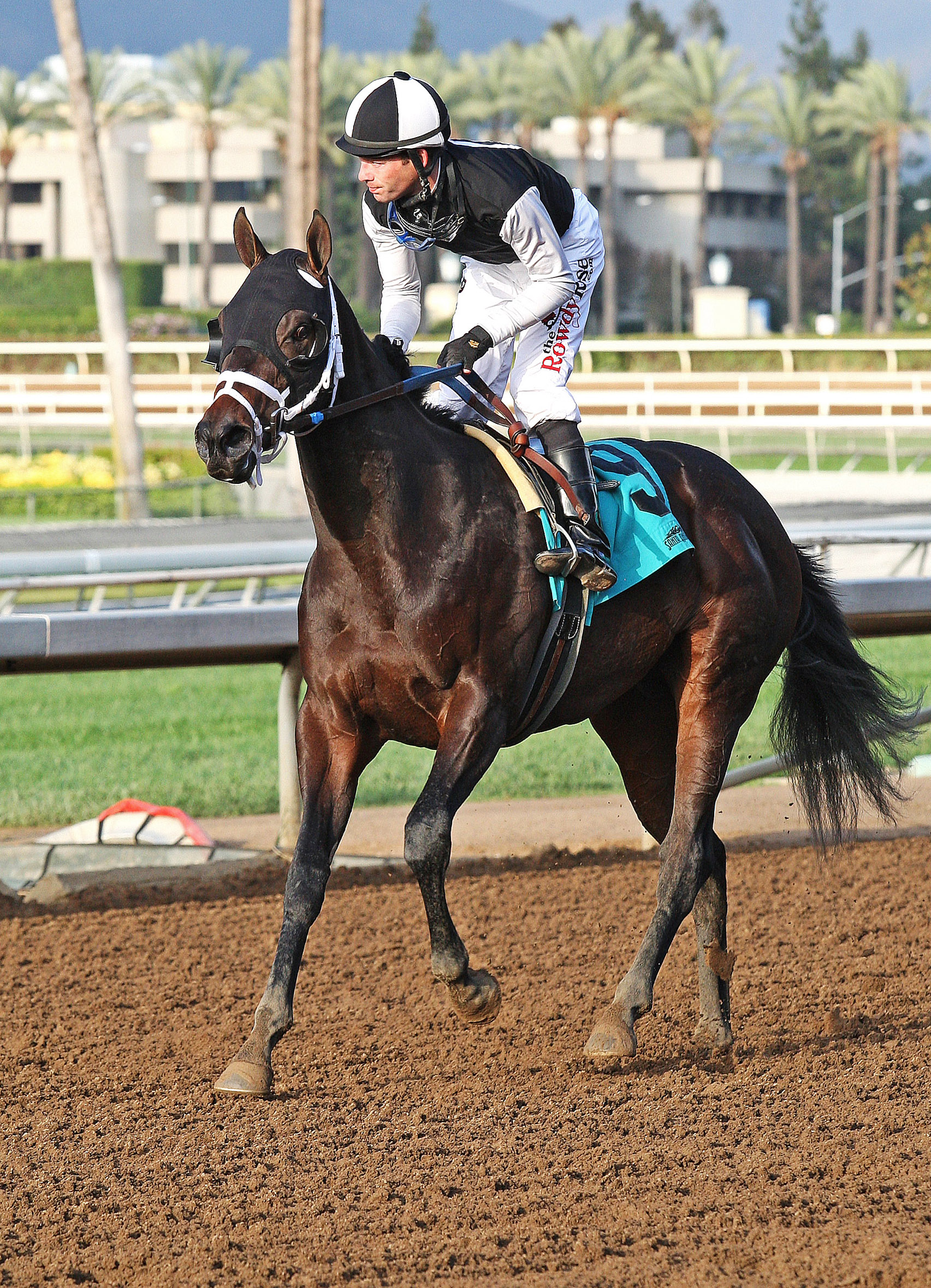 Annie's Candy at Santa Anita Park