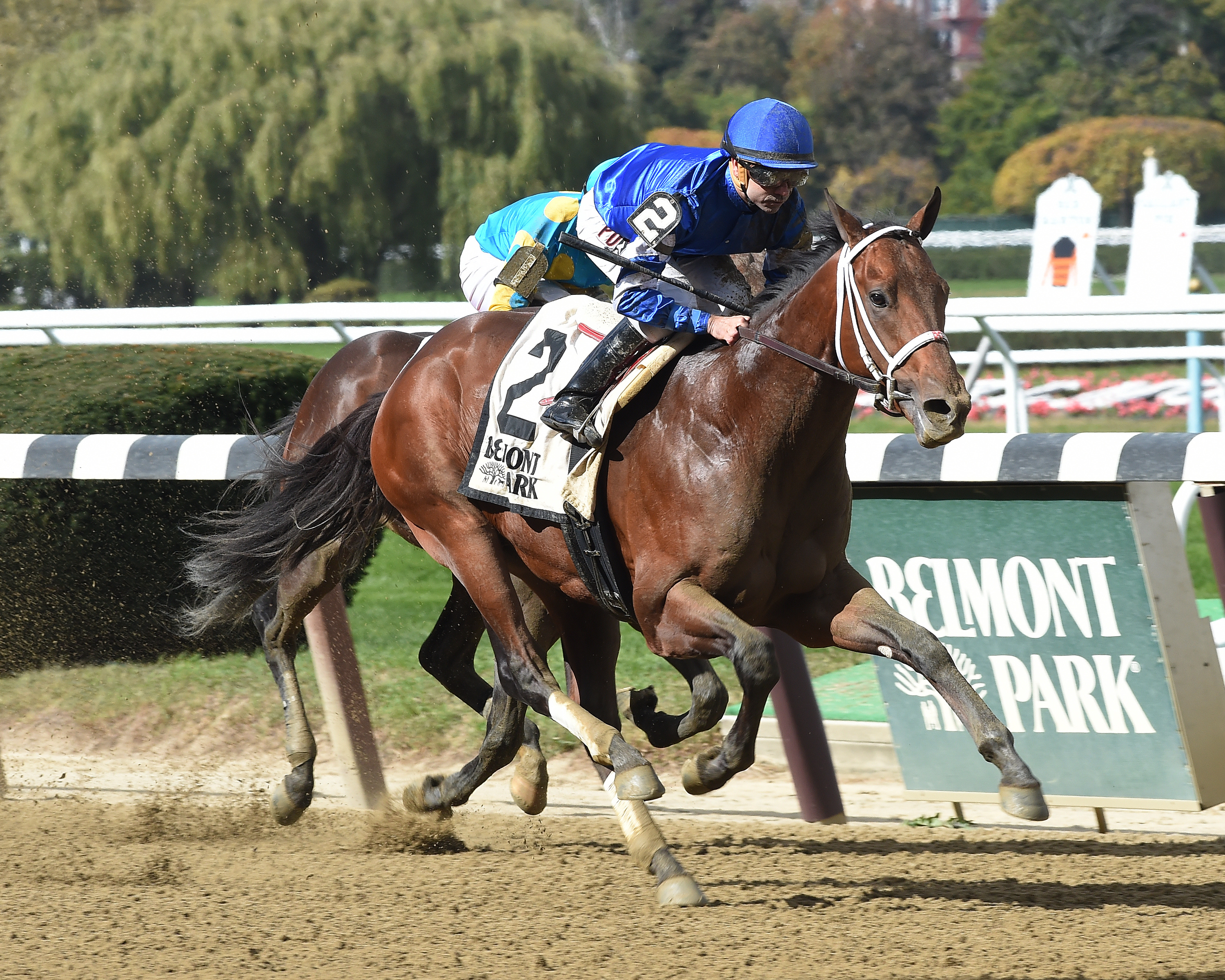 Annual Report wins the Futurity Stakes