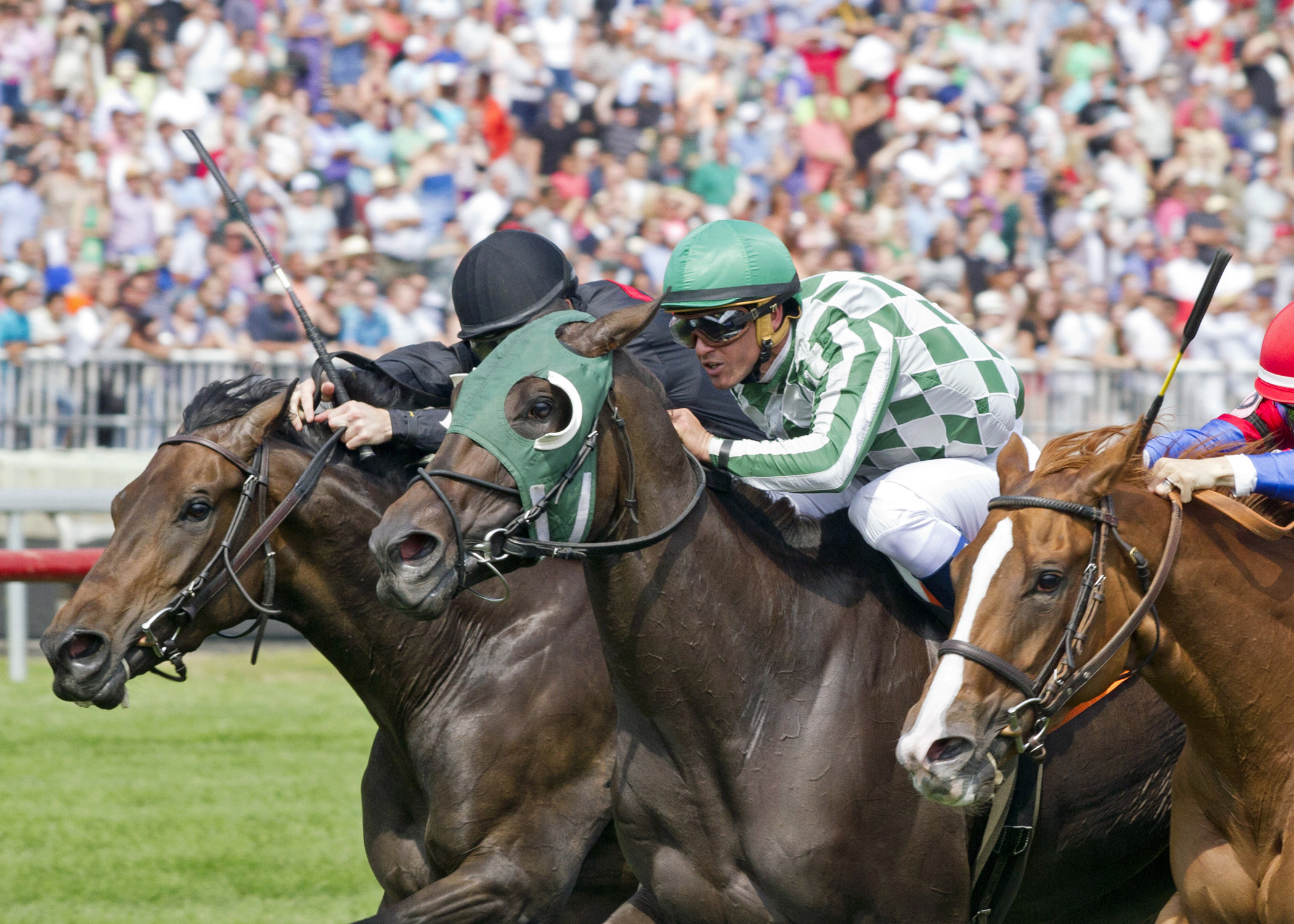 Annulment wins the Hatoof Stakes