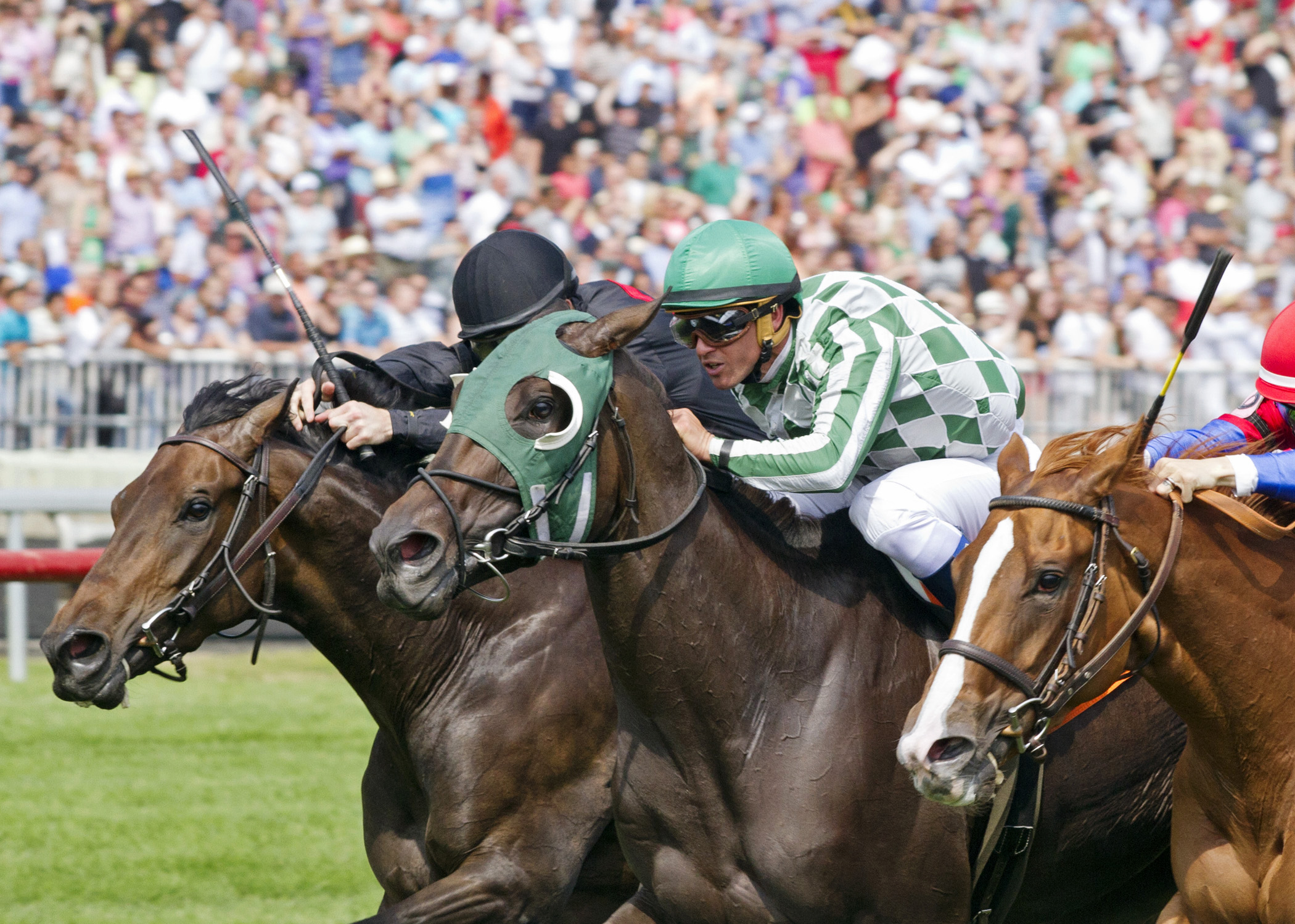 Annulment wins the 2014 Hatoof