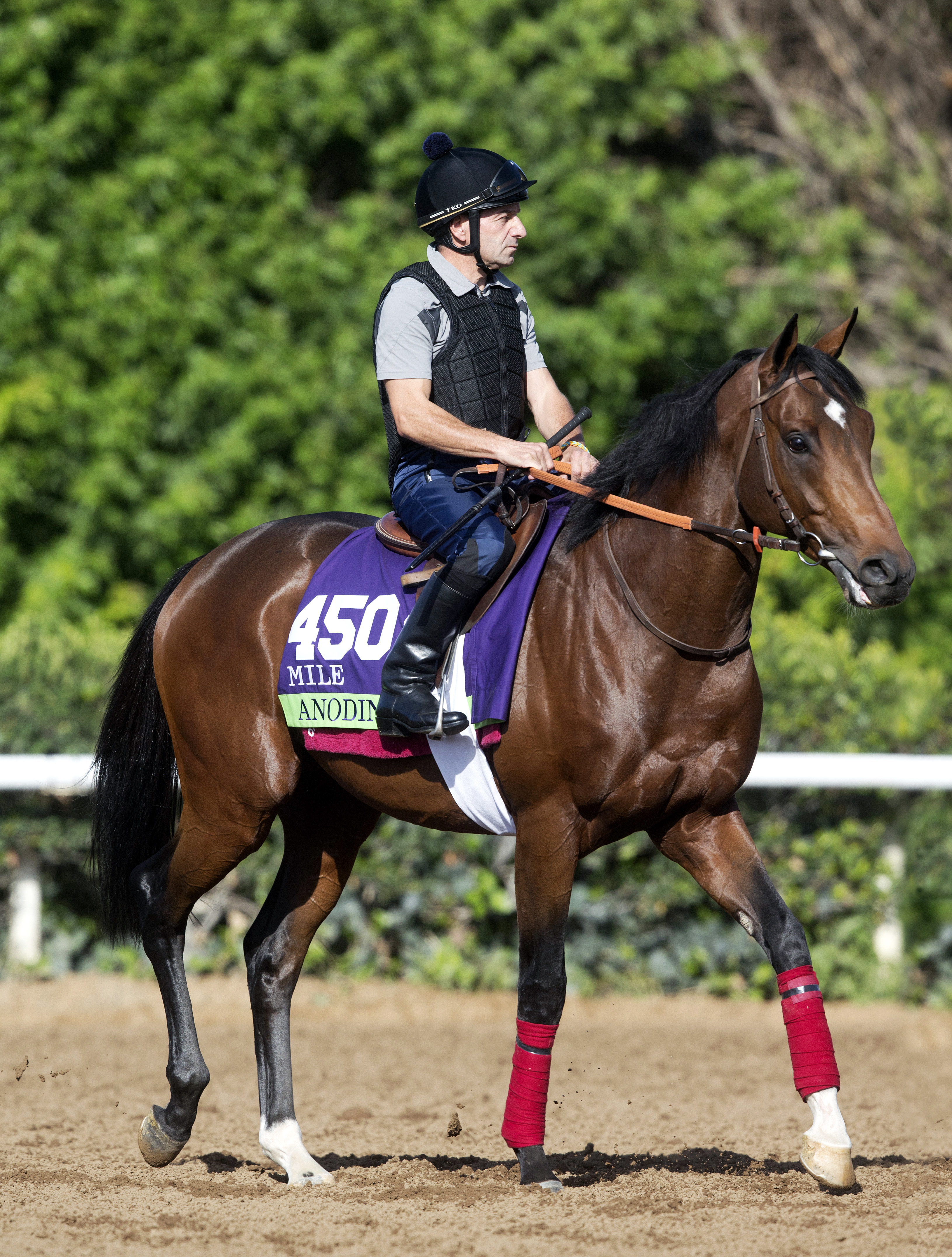 Anodin at Santa Anita on Oct. 27