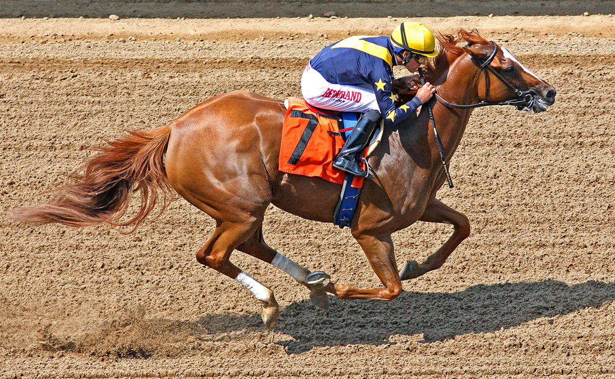Anonymity wins a July 29 allowance race at Del Mar