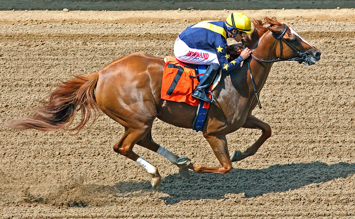 Anonymity wins a July 29 allowance race at Del Mar