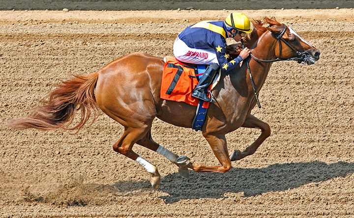 Anonymity wins a July 29, 2018 allowance race at Del Mar