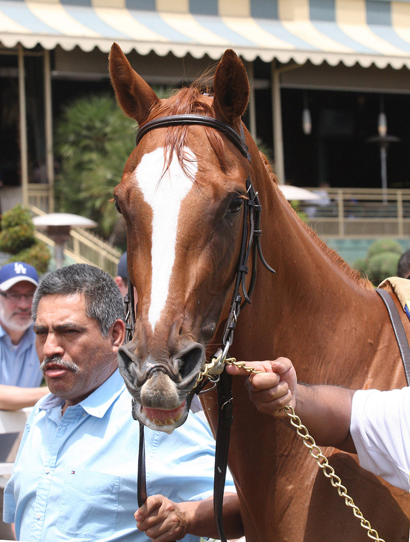 Anonymity at Santa Anita on June 16