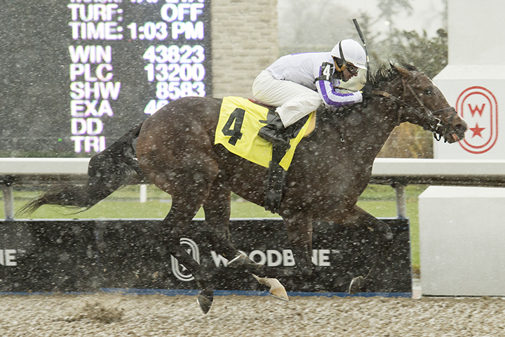 Another Time wins a Nov. 9 maiden race