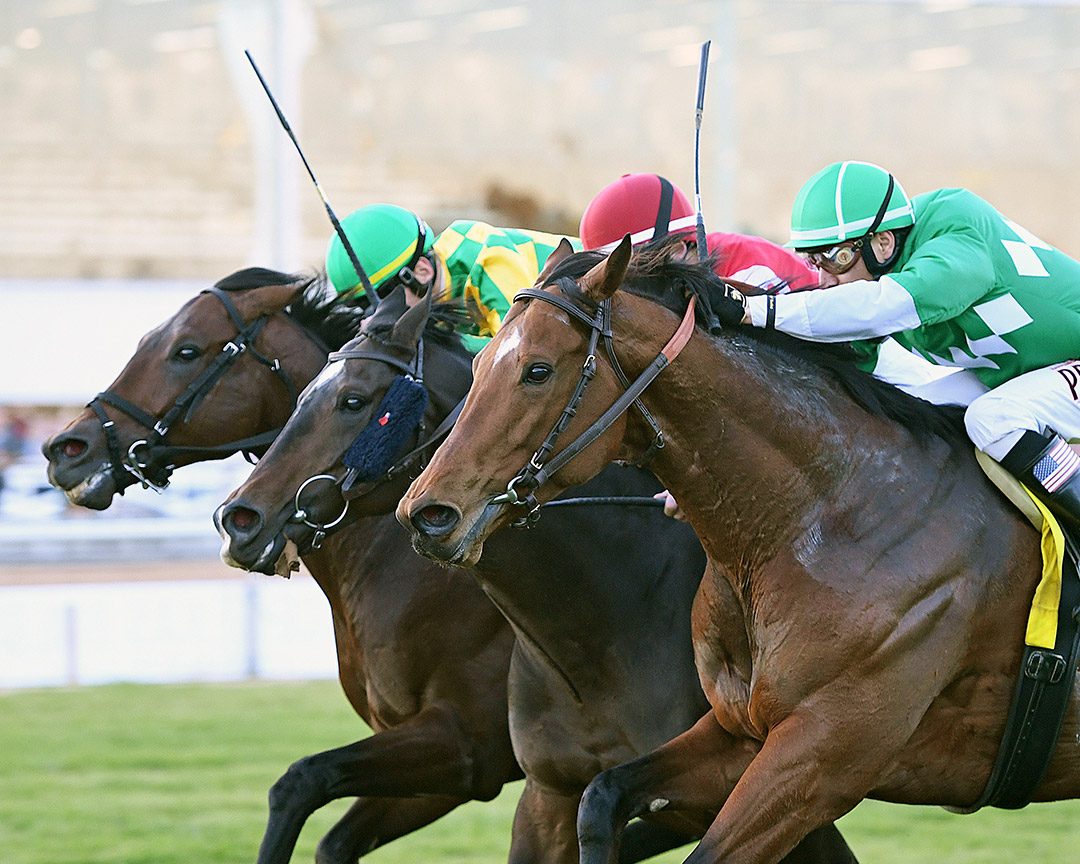 Another Mystery (left) and Fantasioso (center) dead heat in the John B. Connally Turf Cup at Sam Houston