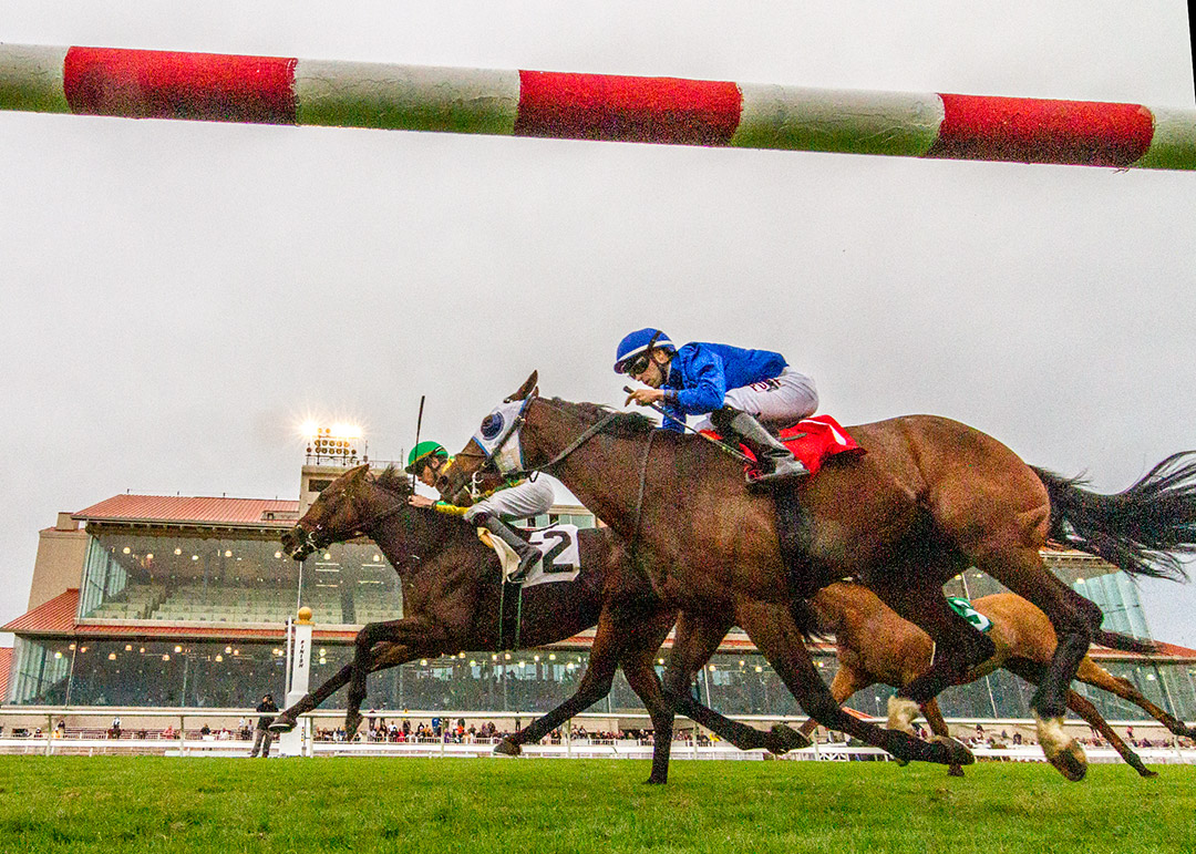Another Mystery (No. 2) wins the 2021 Bob Wright Memorial Stakes at Fair Grounds