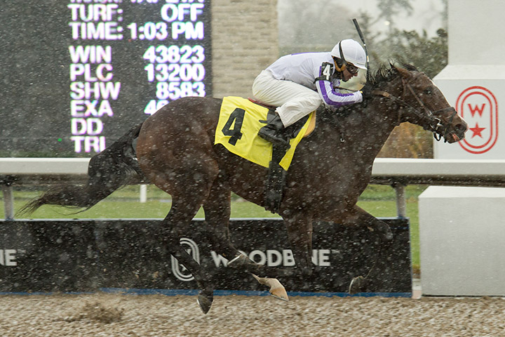 Another Time wins a November 2018 maiden race at Woodbine