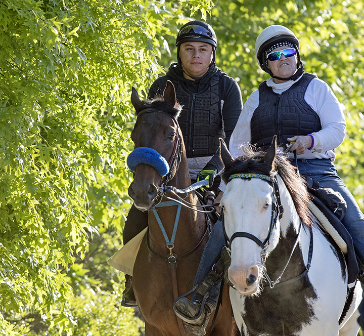 Anothertwistafate at Pimlico on May 15
