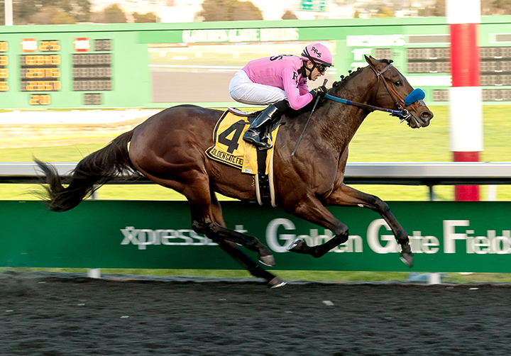 Anothertwistafate wins the El Camino Real