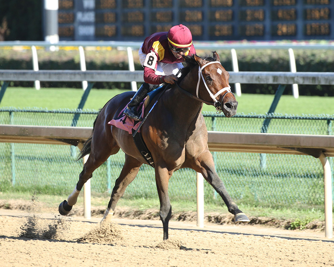 Answer In wins an Oct. 27 maiden race at Churchill Downs