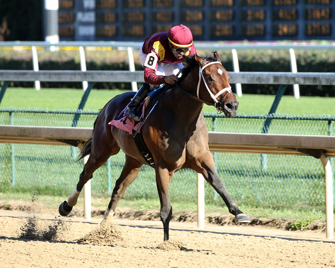 Answer In wins an October 2019 maiden race at Churchill Downs
