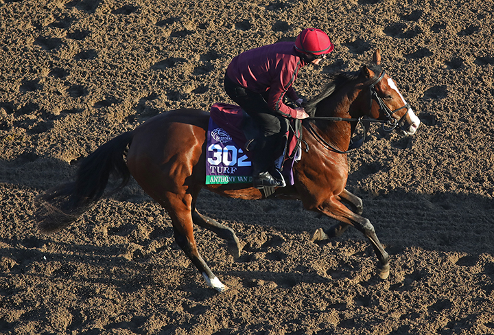 Anthony Van Dyck at Santa Anita Park on Oct. 31
