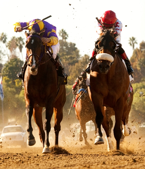 Anthony's Cross (right) wins Lewis, 02-12-2011