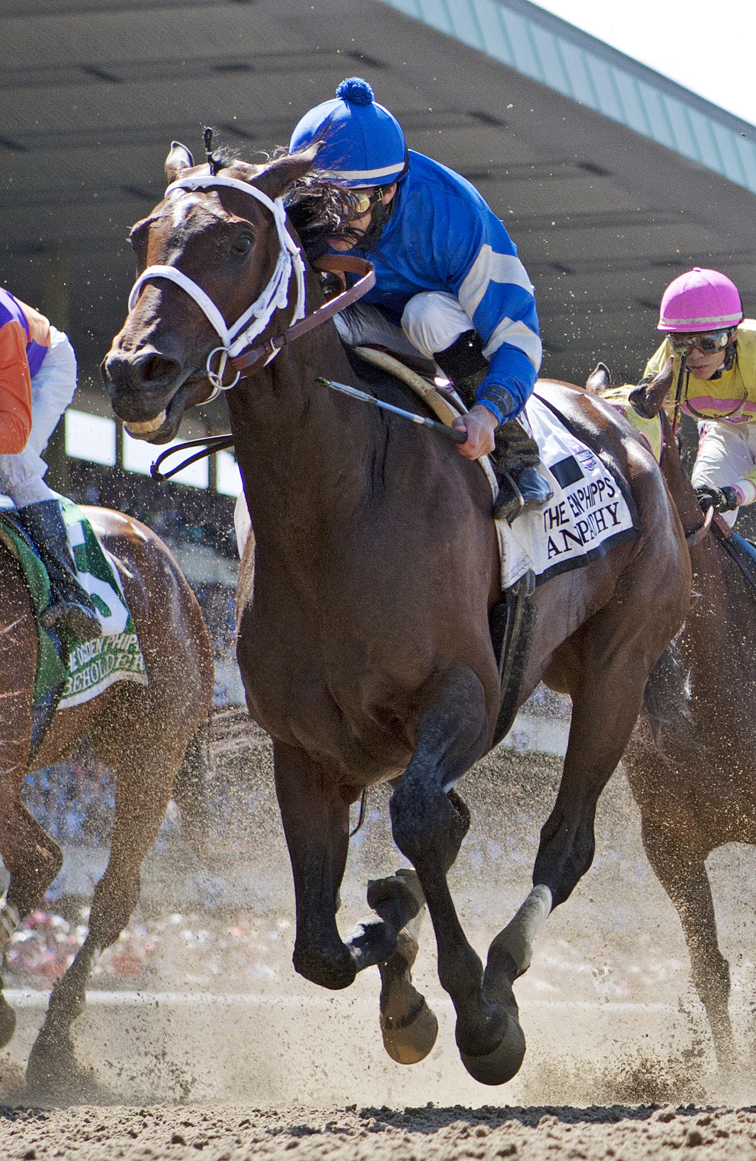Antipathy finishes third in the Ogden Phipps