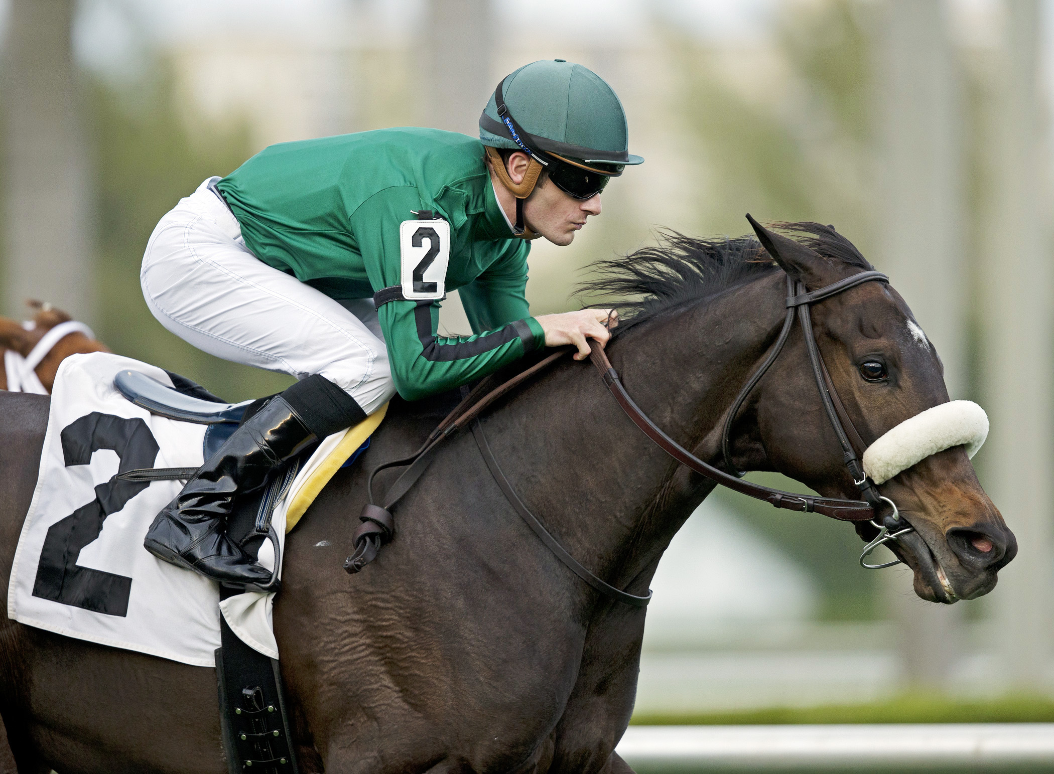 Antonia Autumn wins an allowance at Gulfstream