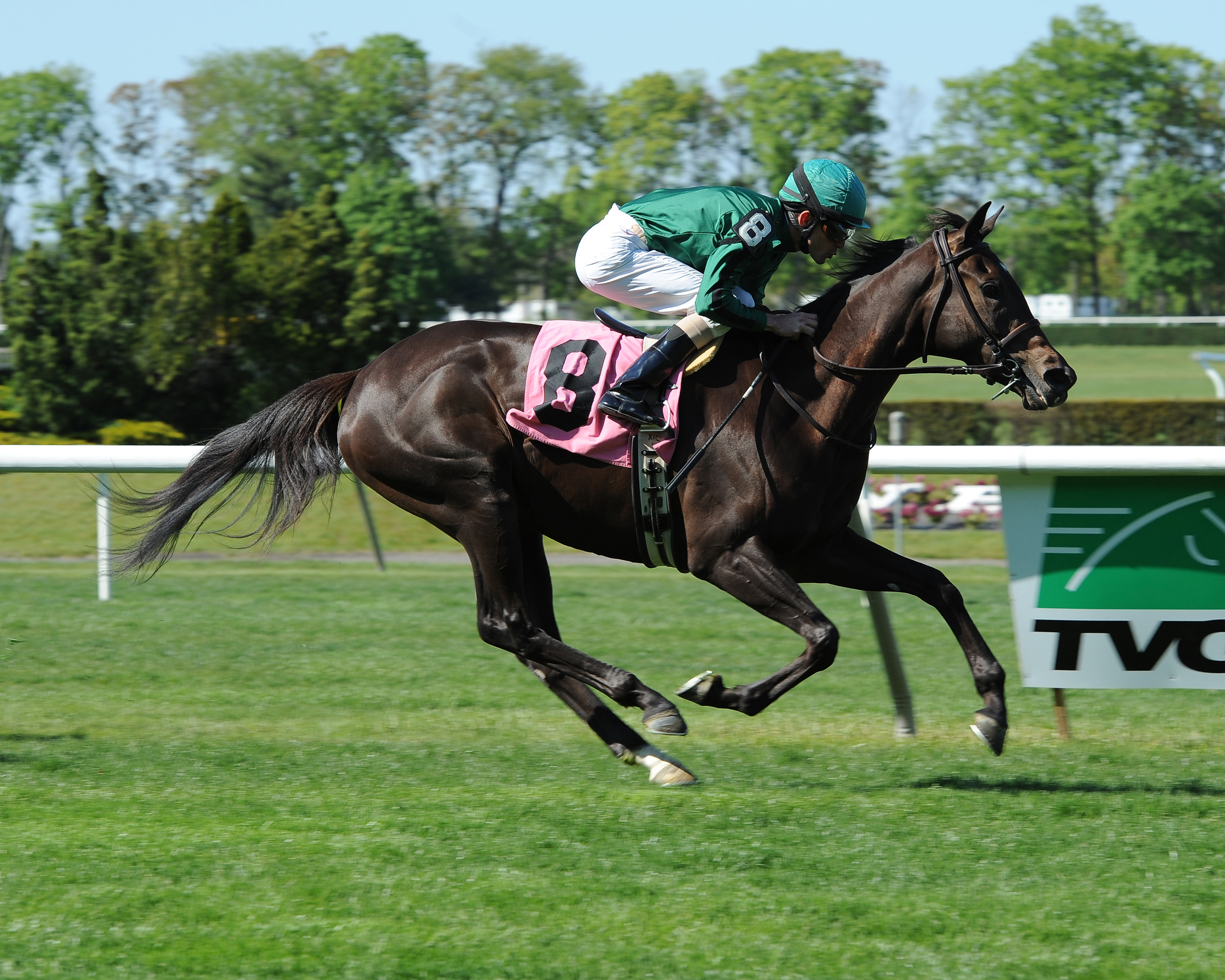 Antonia Autumn/debut win