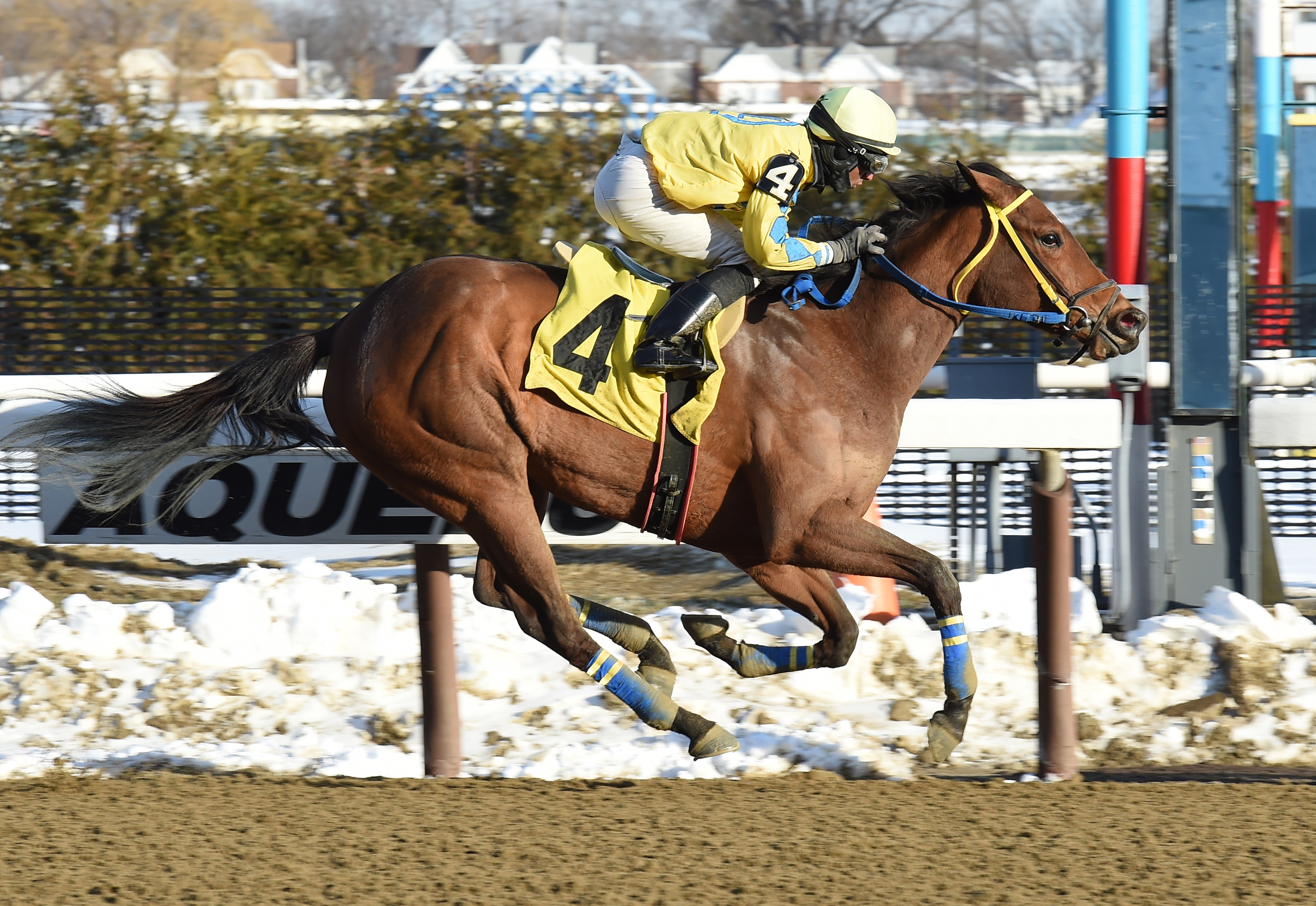 Anydayismyday wins a Feb. 10 allowance race