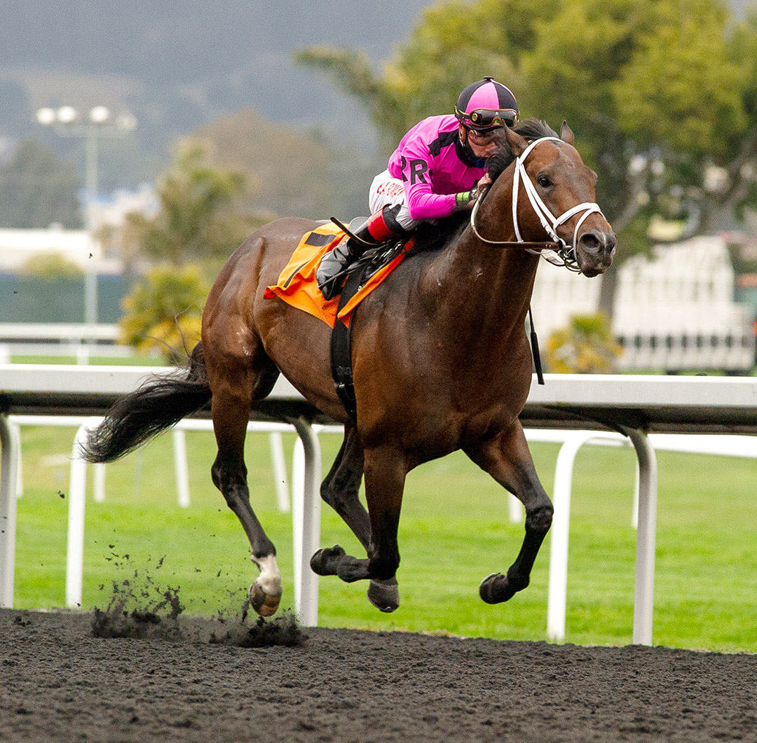 Anyportinastorm wins the 2021 Lost in the Fog Stakes at Golden Gate